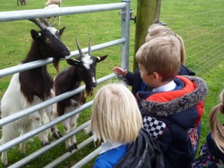At Melsop Farm